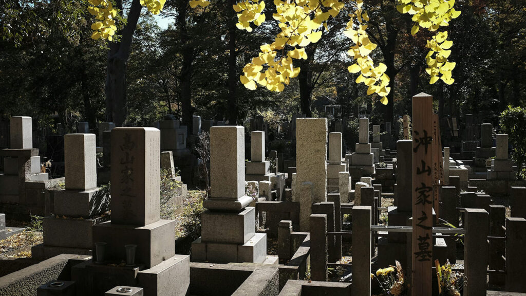 Chinese concrete graves with yellow flowers