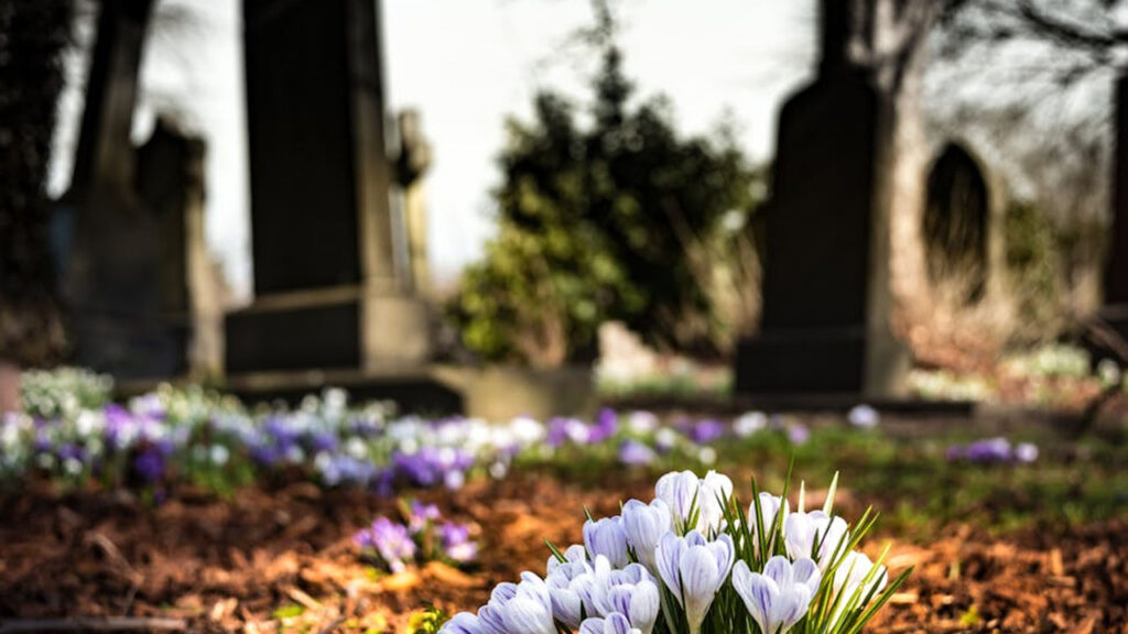 flowers on a grave