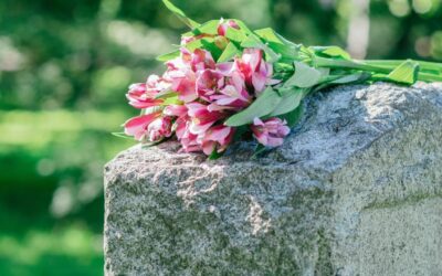 Green Burials in Singapore: What Are They and Are They Allowed?