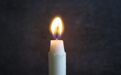 What to Do After a Death: 1st Steps and How to Support Loved Ones